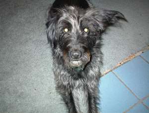 Murray O'Malley 2-16-2006